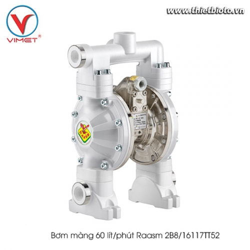 Bơm màng 60 lít/phút Raasm 2B8/16117TT52