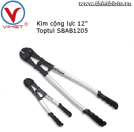 Kìm cộng lực 12