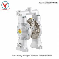 Bơm màng 60 lít/phút Raasm 2B8/16117TT52